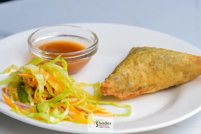A golden beef samosa with slaw and dipping sauce